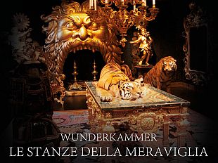 wunderkammer-le-stanze-della-meraviglia