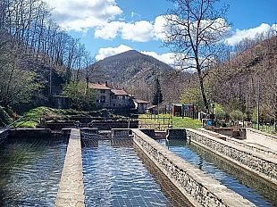 giornata-mondiale-ambiente-tornano-a-riprodursi-i-gamberi-di-fiume