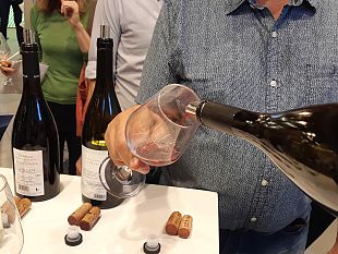 i-vini-dellalto-adige-in-tour-ieri-a-firenze-50-etichette-in-degustazione