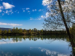 osservare-la-natura-in-inverno-visite-intorno-a-firenze