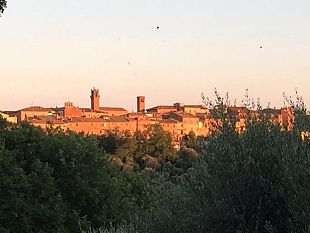in-arrivo-ledizione-zero-della-torrita-by-night-gara-podistica-e-passeggiata-ludico-motoria