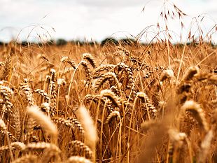 nei-primi-5-mesi-dellanno-le-famiglie-hanno-speso-290-in-piu