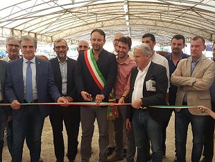 fiera-agricola-mugellana-mostra-ideale-di-eccellenze-del-territorio