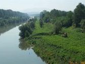 b204301329-arno-navigabile-ma-solo-con-il-plantario-della-provincia