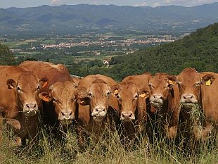 ce-tempo-sino-al-30-aprile-per-le-misure-di-semplificazione