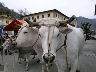 bando-competitivita-da-70-milioni-termine-domande-slitta-al-30-maggio