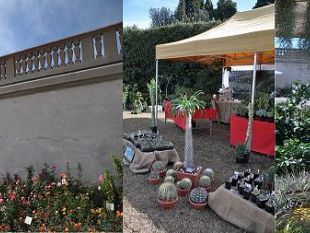 b304041534-botanica-di-primavera-esemplari-dimenticati-o-mai-visti