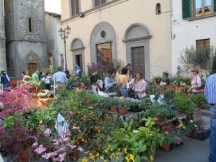b004021430-a-scarperia-una-colorata-primavera-di-2000-fiori