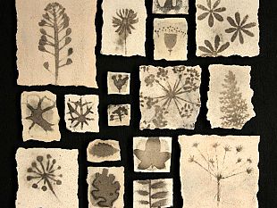 b106282000-fotografare-con-il-fuoco