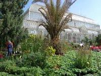 b310011705-ad-ottobre-la-mostra-dei-fiori-e-il-corso-di-garden-design