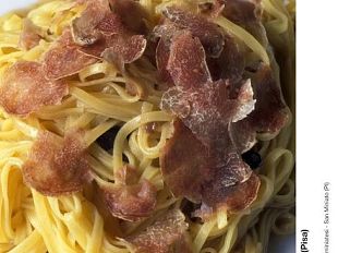 b310211328-tartufo-a-san-miniato-incontra-i-sapori-del-mondo