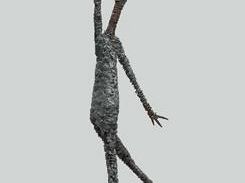 b209131815-statua-di-pinocchio-del-venturi-la-proposta-perche-non-a-castello