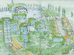 b112181857-il-parco-di-pinocchio-avventura-della-ecosostenibilita