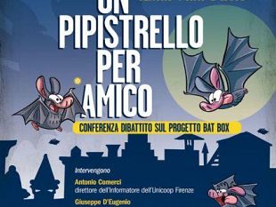 b204162151-ponte-a-greve-la-campagna-coop-un-pipistrello-per-amico