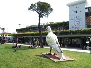 wizz-air-inaugurata-la-rotta-che-collega-pisa-e-varsavia