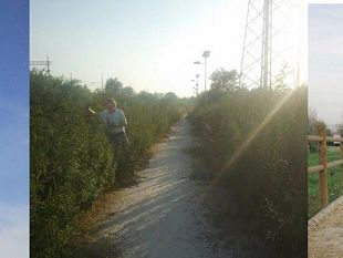 b207011936-pista-ciclabile-sparisce-tra-i-cespugli-a-2-anni-dall-inaugurazione