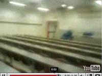 a910232152-gatti-e-sporcizia-nell-aula-9-di-psicologia-video