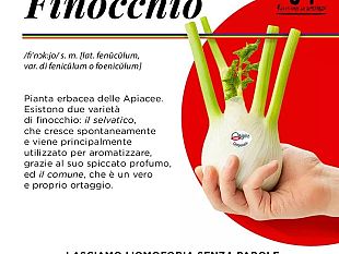 coop-un-messaggio-contro-lomofobia