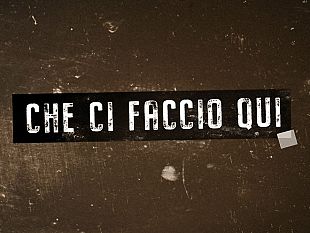 che-ci-faccio-qui-il-servizio-pubblico-di-iannacone