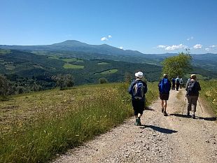 montepulciano-il-vino-nobile-scalda-lestate-poliziana
