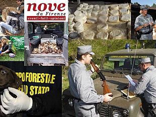 corpo-forestale-investimenti-a-rischio-invito-in-regione-toscana