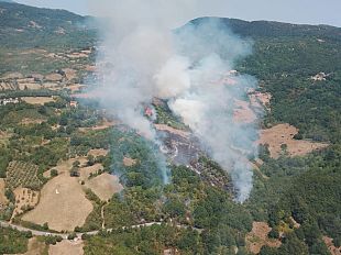 incendio-boschivo-a-castellazzara