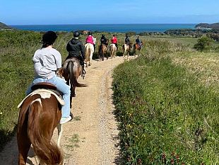 passeggiate-a-cavallo-nel-parco-archeologico-di-baratti-e-populonia