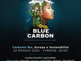 al-cinema-la-compagnia-le-wetlands-e-limpatto-del-carbonio-blu