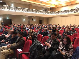 ungulati-danni-milioni-di-euro-agricoltura-toscana