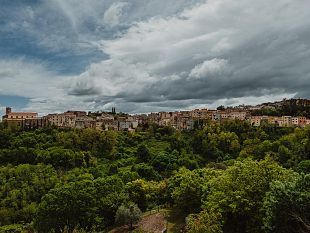 vendemmia-2022-per-il-morellino-di-scansano-uve-sane-e-di-qualita