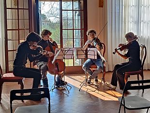 festival-violoncelli-in-armonia