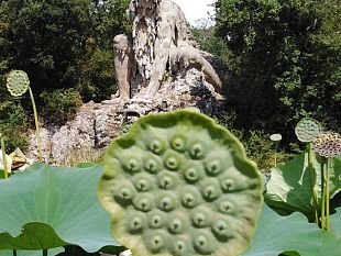 pratolino-water-will-flow-again-in-the-colossus-of-the-apennines