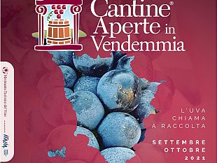 la-vendemmia-come-non-lavete-mai-vista