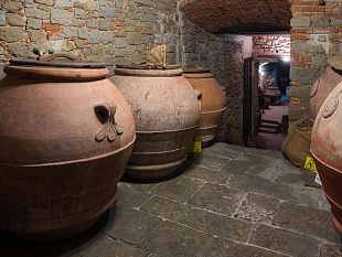 lolio-di-reggello-a-very-slow-2023