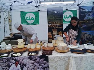 i-segreti-per-fare-il-formaggio-e-lorto-fai-da-te-sul-balcone-di-casa