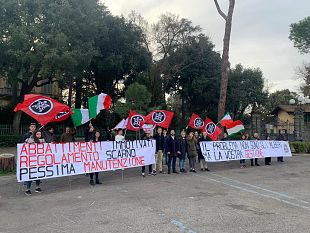 gli-alberi-abbattuti-si-tingono-di-nero