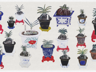 le-orchidee-dei-samurai-allo-stibbert