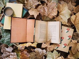 letture-per-tutte-le-stagioni-il-passaparola-dei-libri-in-autunno