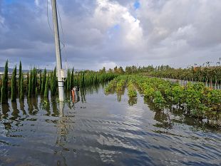 maltempo-in-toscana-salvaguardare-il-territorio