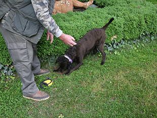 un-fine-settimana-a-villa-sonnino-di-san-miniato-con-i-tartufi-di-savitar