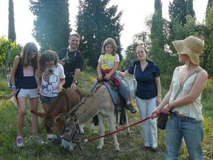 b012051858-a-poggio-valicaia-una-fattoria-didattica-e-ecologica