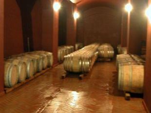 b002201442-stalle-cantine-serre-meno-burocrazia-e-oneri-finanziari-ma-piu-controlli