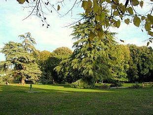 palestre-allaperto-sport-gratuito-in-10-piazze-e-giardini-ecco-dove