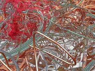 b301241342-fibre-di-un-altro-universo-in-mostra-gli-scatti-di-elisabetta-nencini