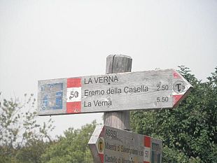 b208281505-a-piedi-da-arezzo-a-la-verna-per-i-sentieri-del-cai