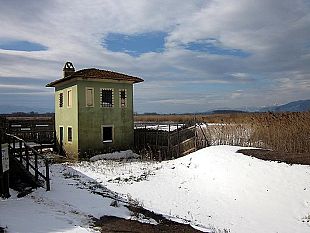 b202031410-neve-nuova-allerta-fino-a-domenica-e-rischio-ghiaccio-fino-a-lunedi