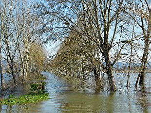 un-convegno-ui-temi-della-difesa-dal-rischio-idrogeologico-e-della-gestione-dellacqua