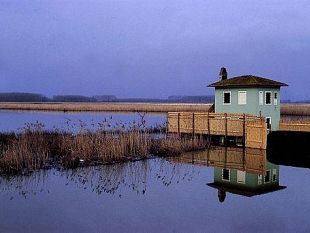 a806111416-giornata-del-paesaggio-2008-si-festeggia-al-padule-di-fucecchio