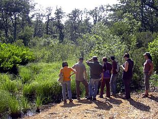 b003031952-visite-primaverili-nel-padule-di-fucecchio