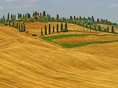 da-siena-a-cortona-con-lauretana-in-cammino